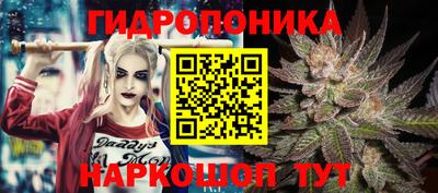 ГАЛЛЮЦИНОГЕННЫЕ ГРИБЫ Бузулук