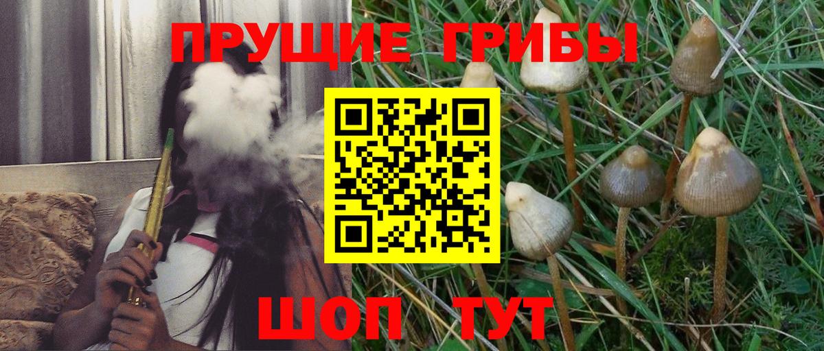 Псилоцибиновые грибы GOLDEN TEACHER Нальчик