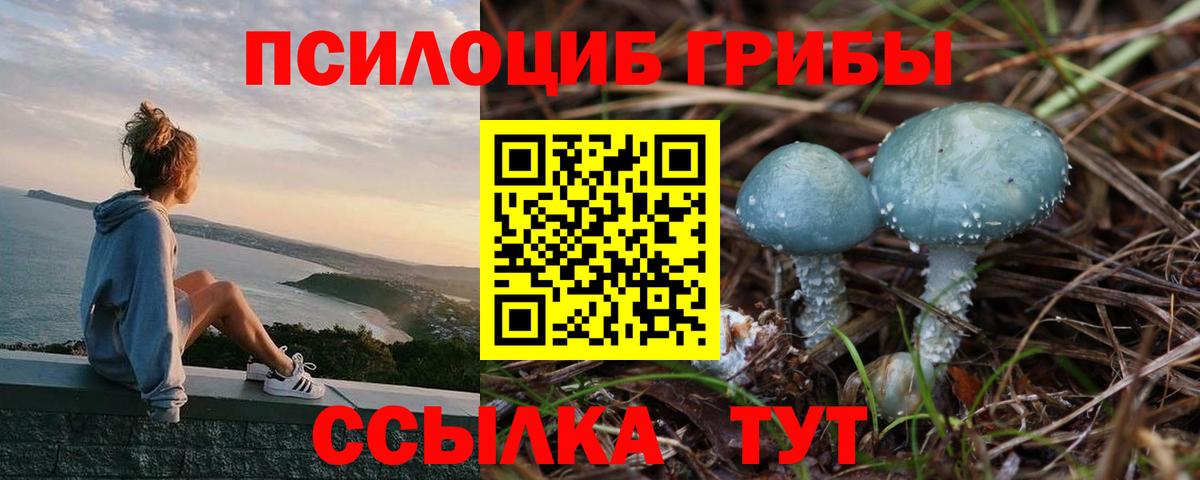 Нальчик  Псилоцибиновые грибы ЛСД  Вход с VPN 