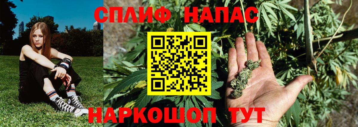 Бошки Шишки тримм Нальчик